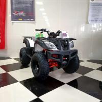 Квадроцикл ATV KAYO AU150 4т 