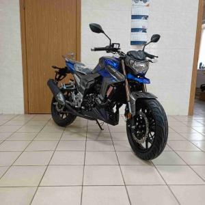 Мотоцикл Regulmoto T-Leopard 300