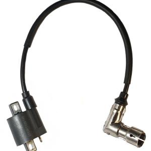 Катушка зажигания  со свечным колпачком 4Т 165FMM (CB250) TTR250Rb/#1/