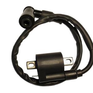 Катушка зажигания со свечным колпачком 4Т 164FML, 166FMM Racer RC200-250GY-C2 Panther
