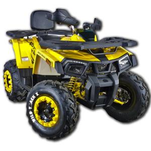 Комплект з/ч для сборки квадроцикла MOTOLAND ATV200 WILD TRACK X WINCH 4т/200cc/